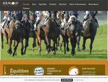 Tablet Screenshot of equigold.fr